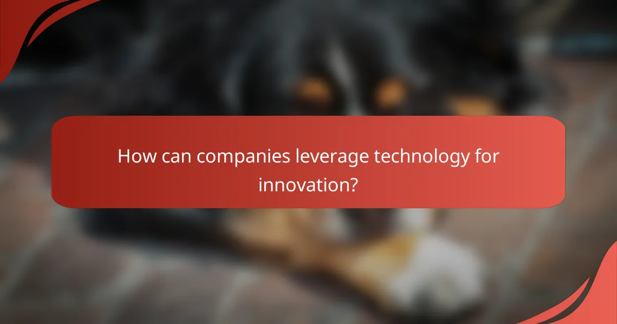 How can companies leverage technology for innovation?