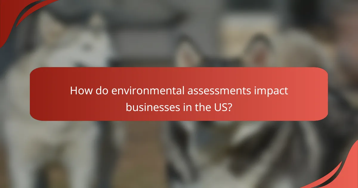 How do environmental assessments impact businesses in the US?