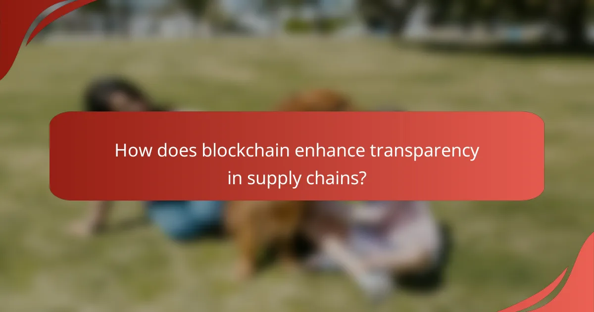 How does blockchain enhance transparency in supply chains?