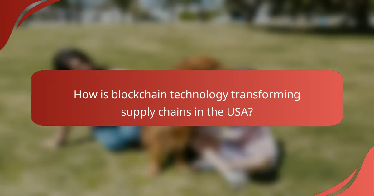 How is blockchain technology transforming supply chains in the USA?