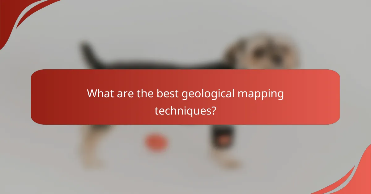 What are the best geological mapping techniques?