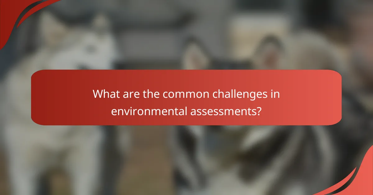 What are the common challenges in environmental assessments?