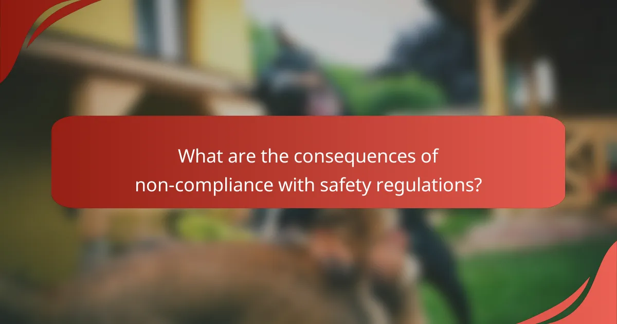 What are the consequences of non-compliance with safety regulations?