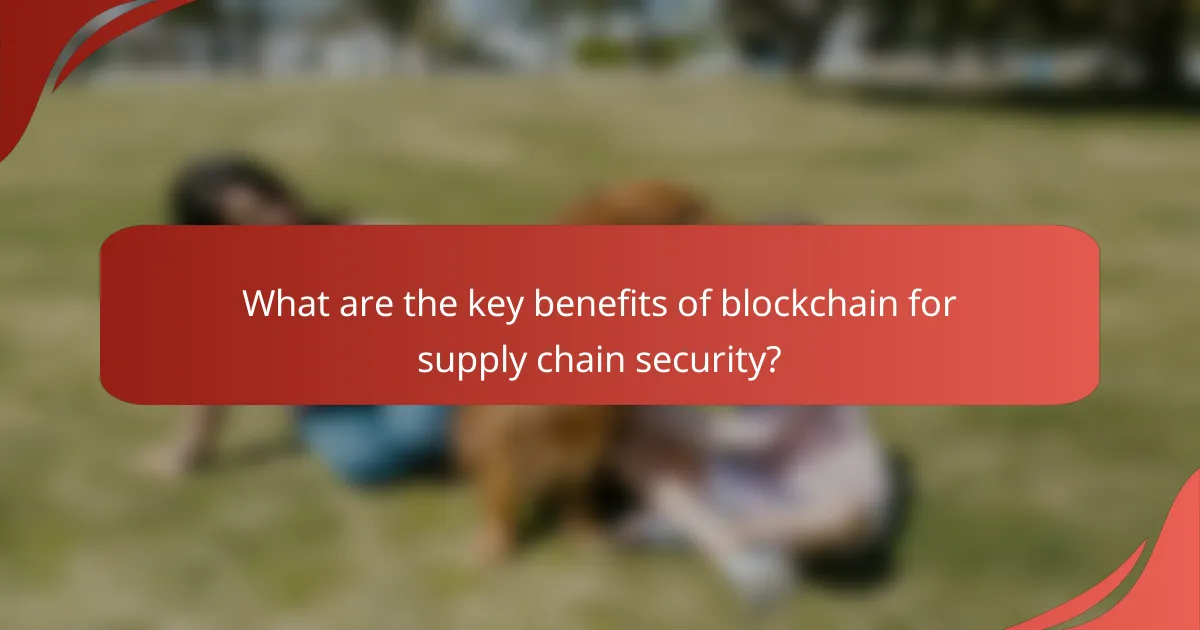 What are the key benefits of blockchain for supply chain security?