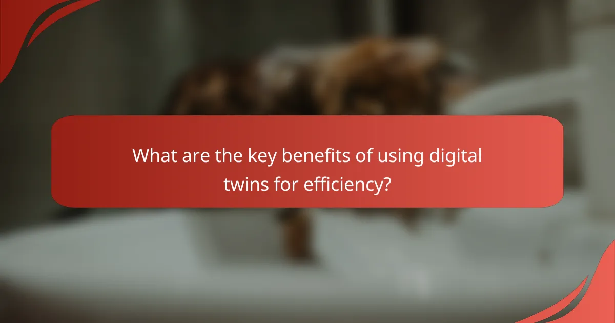 What are the key benefits of using digital twins for efficiency?