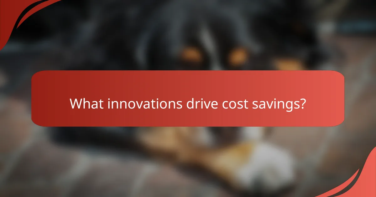 What innovations drive cost savings?
