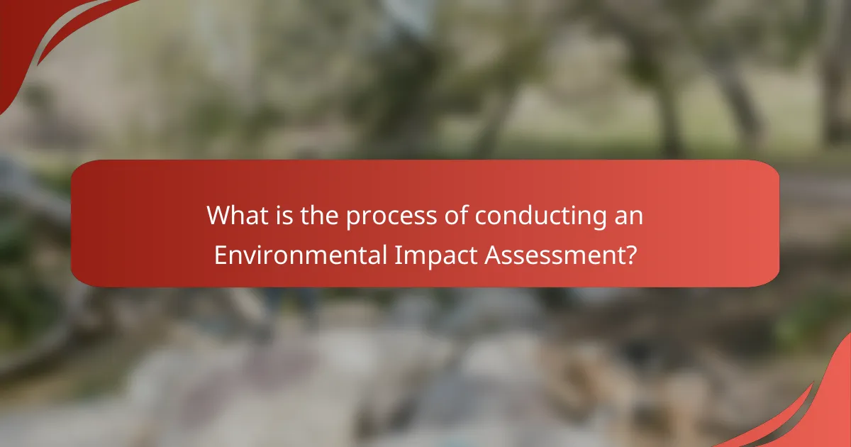 What is the process of conducting an Environmental Impact Assessment?